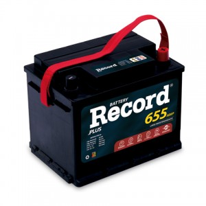 BATERIA RECORD , PLUS RW 60